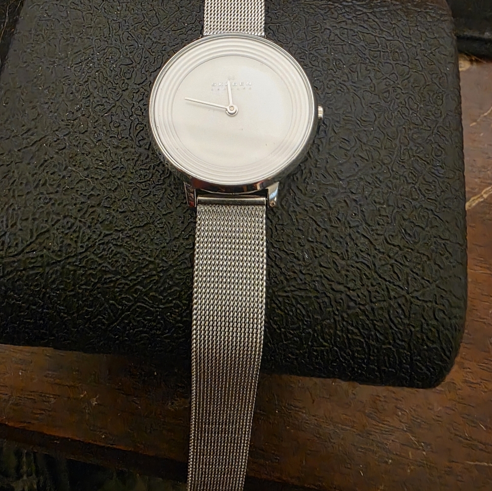 Skagen Silver Mesh Watch - Picture 4 of 5